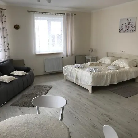 Carpathian Aura Affittacamere 3*