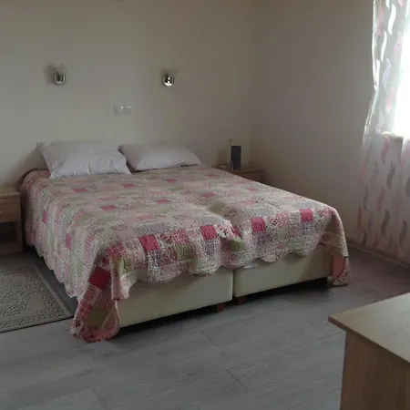 Carpathian Aura Guest house *