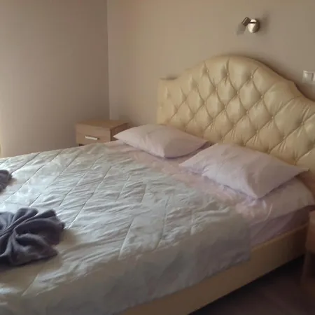 Pensjonat Carpathian Aura Skhidnytsia