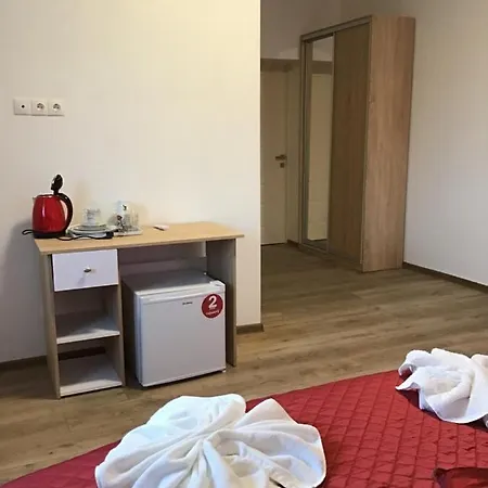 Carpathian Aura Pensjonat Skhidnytsia