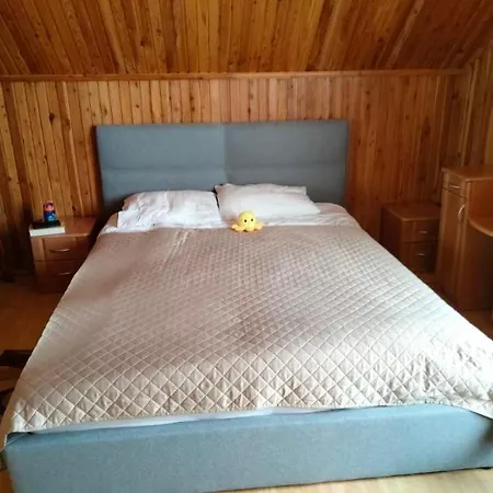 Pensjonat Carpathian Aura 3*