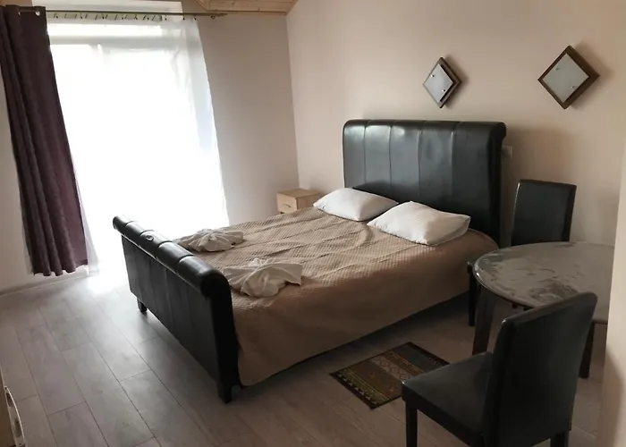 Carpathian Aura Pensjonat Skhidnytsia