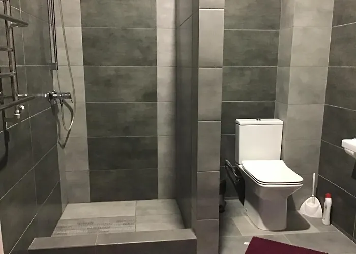 Pensjonat Carpathian Aura Skhidnytsia