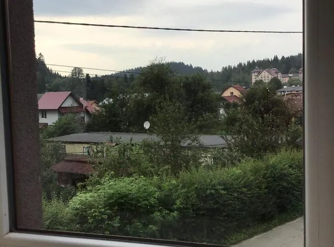 Pensjonat Carpathian Aura Skhidnytsia