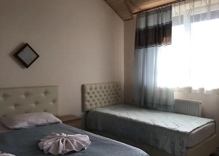 Pensjonat Carpathian Aura Skhidnytsia